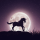 Pulling the Plug for the Solstice – Willow Croft Avatar