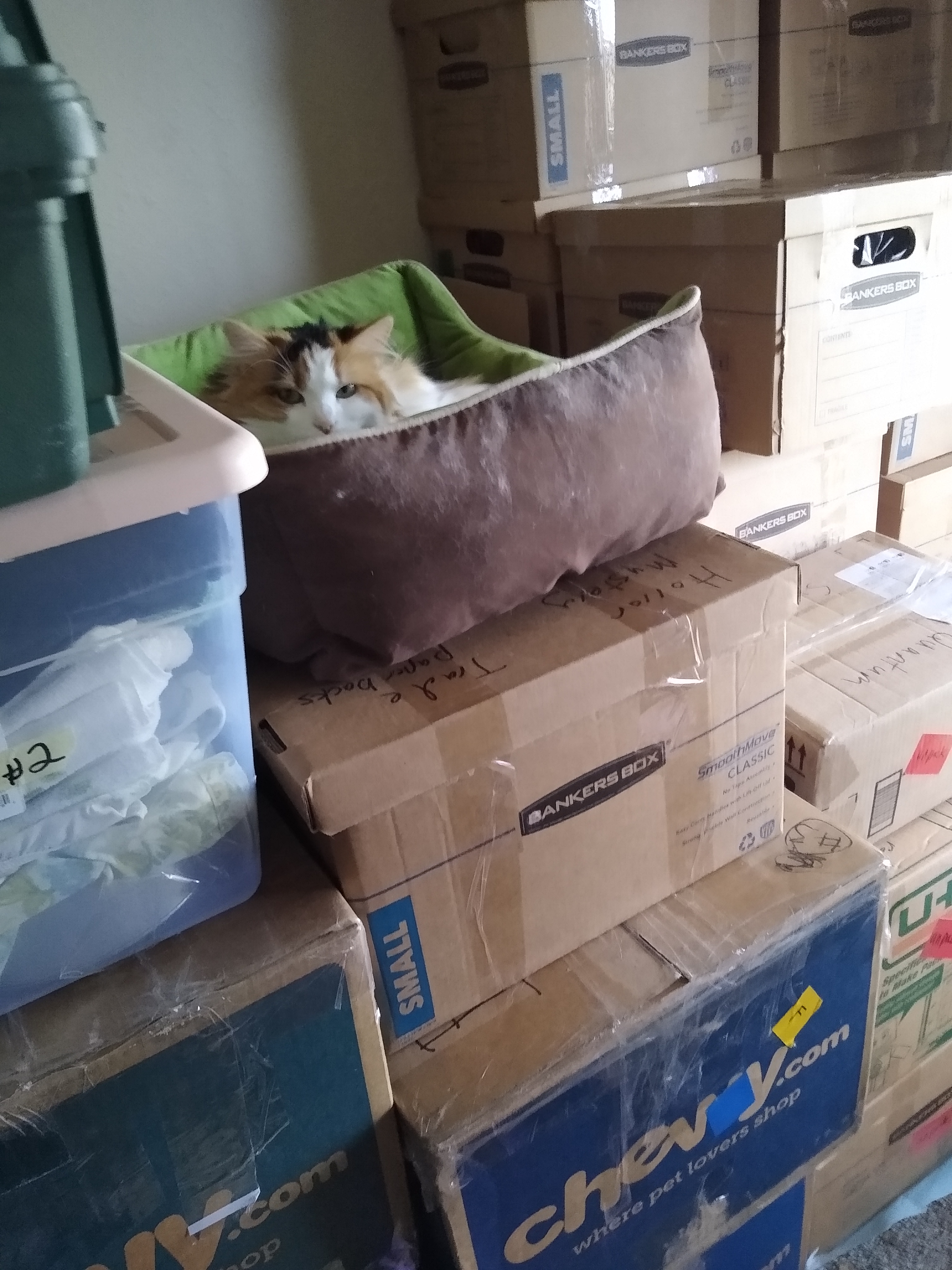 IMG_20210121_091825317