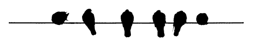 Birds on a Wire